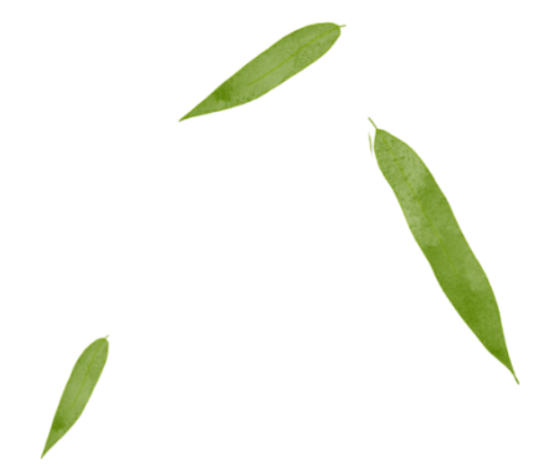 清明至，春意濃(圖15)