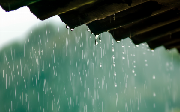 清明至,春意濃(圖17) 清明至,春意濃(圖17)