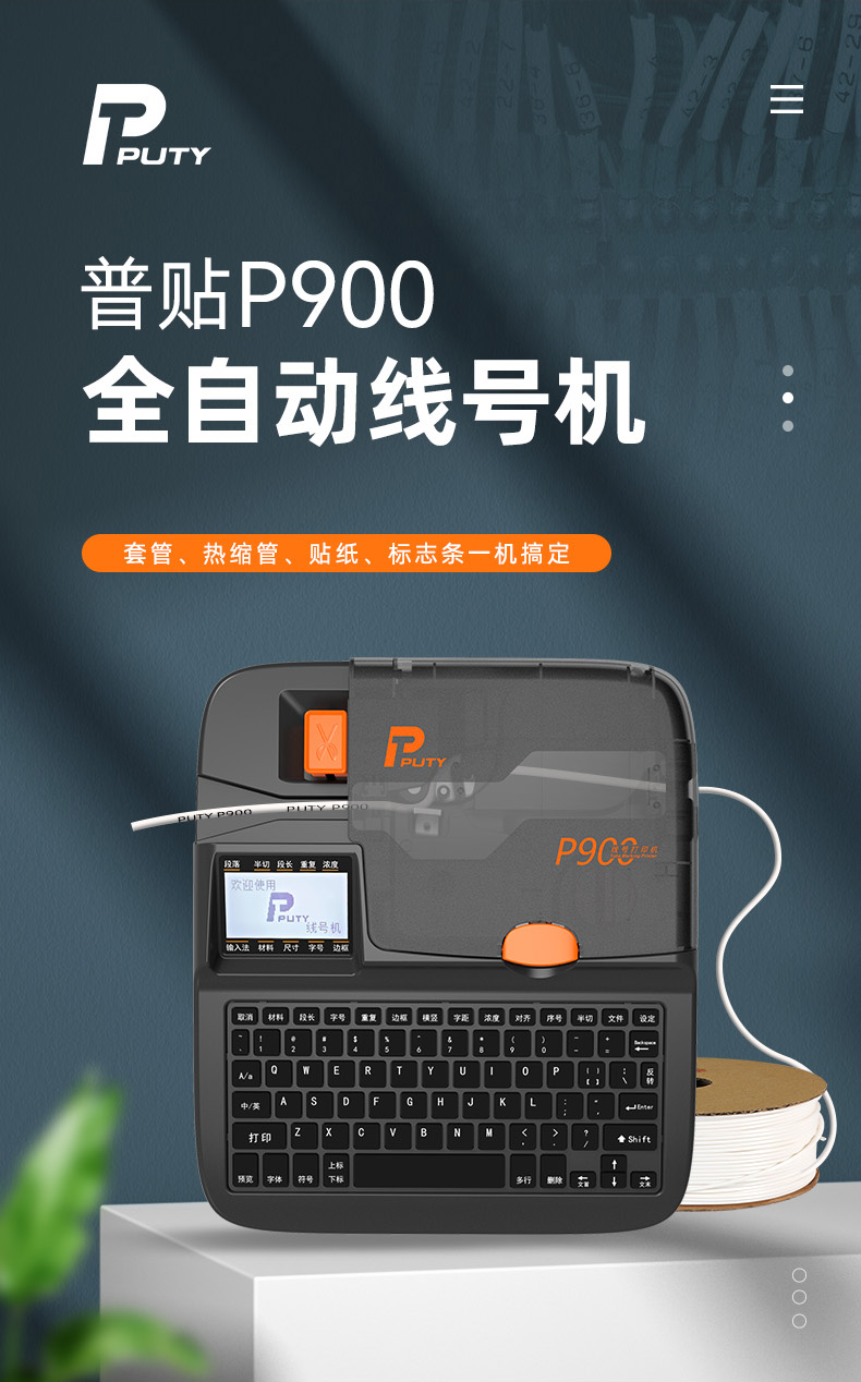 P900(圖1)